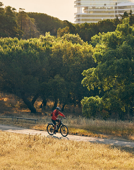 Cannondale - Bici da città e fitness