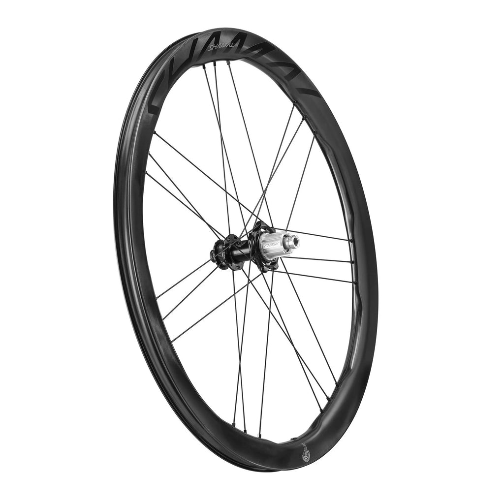 Campagnolo Shamal Dual Profile - Coppia di Ruote